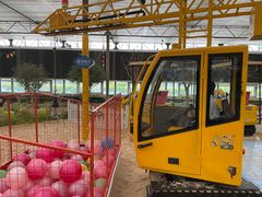 -南宫五洲植物乐园