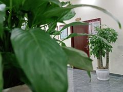 -张钰强中医正骨推拿连锁(唐家人才公寓店)