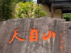 -天目山大树王景区