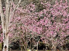 -途中饭店(开化店)