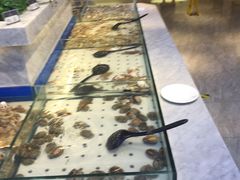 -川骄海鲜自助(河东店)