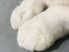 -小时光咖啡馆(开森度假森林店)