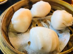 添运来虾饺皇-添运来(茶园奥园广场店)
