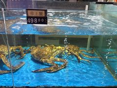 -蟹之国·精品蟹料理(极地店)