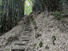 -南山植物园