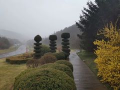 -棒棰岛宾馆景区