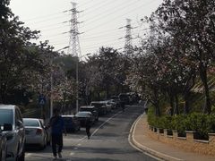 -小南山公园