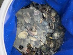 -红树林天天赶海