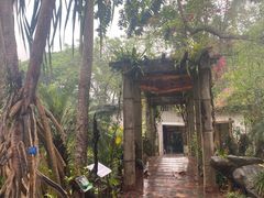 -中国科学院西双版纳热带植物园