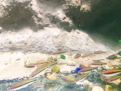 -苏州海洋馆