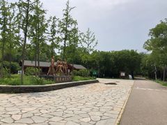 -东郊湿地公园