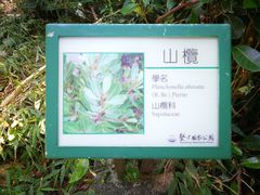 -鹅銮鼻公园
