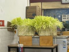 -尤素福东举院饺子馆