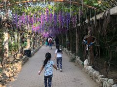 -呀路古热带植物园