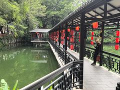 -侨美·唐荔园·40年地道粤菜