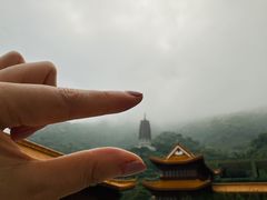 -深圳仙湖植物园
