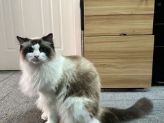 -零纪元VR体验馆·桌游(黄浦店)