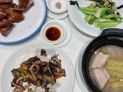 红烧乳鸽-金河半岛园林酒家(金融城店)