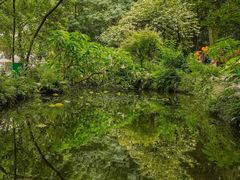 -成都市活水公园