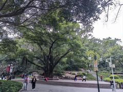 -晓港公园