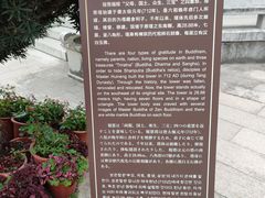 -国恩寺