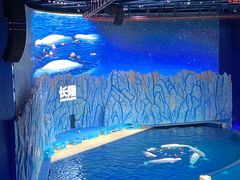 -珠海长隆海洋王国