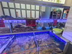 -金海湾海鲜排档(朱家尖店)