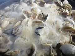 -顺德哥卜卜贝(旗舰店)
