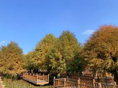 -五缘湾湿地公园