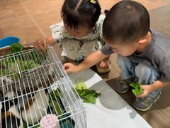 -HERRE·FARM 赫尔露营农场·团建聚会包场