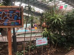 -御龙温泉度假村