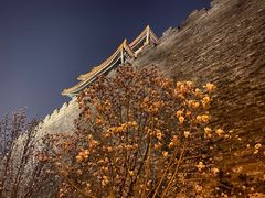-东华门大街小区