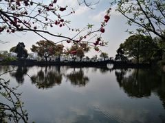 -无锡蠡湖国家湿地公园-蠡园