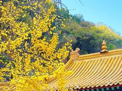-千佛山风景名胜区