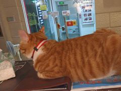 -逃脱反斗城沉浸剧情密室(北京路店)