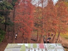 -广州市白云山风景名胜区