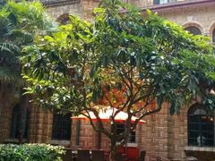 -马勒别墅·中餐厅