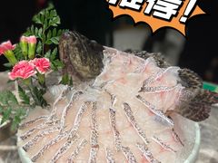 -禄婶鸡煲·打边炉