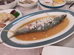 酒酿蒸鲥鱼-新南华大酒店(广中店)