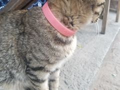 -飘香酒馆·私房菜