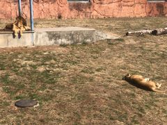 -无锡动物园·太湖欢乐园