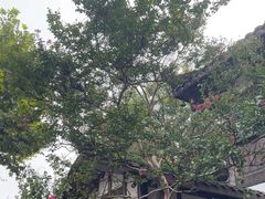 -见山书院
