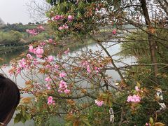 -重庆园博园