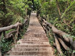 -梧桐山风景名胜区