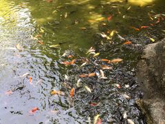 景点-珠海圆明新园