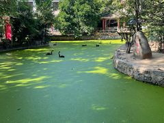 -荆州中山公园动物园