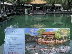 -老板恋上鱼(印象城店)