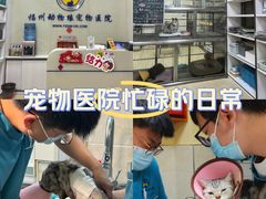 -动物缘宠物医院·骨科·猫科(西二环店)