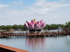 -白洋淀风景区