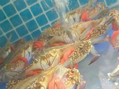 -77号渔船·蒸海鲜青岛菜(积米崖店)